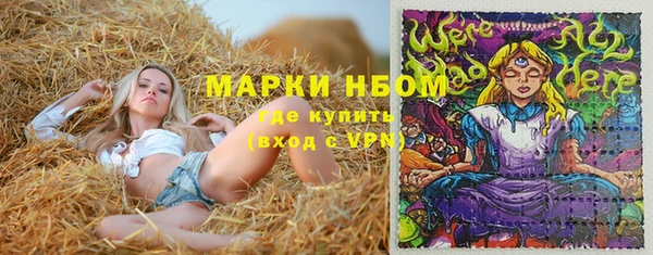 мет Алексин