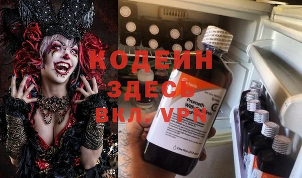 мет Алексин