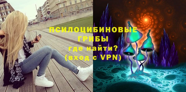мет Алексин