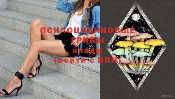 круглые Алзамай